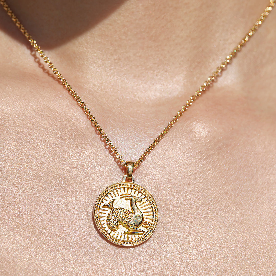 Capricorn Zodiac Necklace FUTURA Ethical Gold Coin Pendant